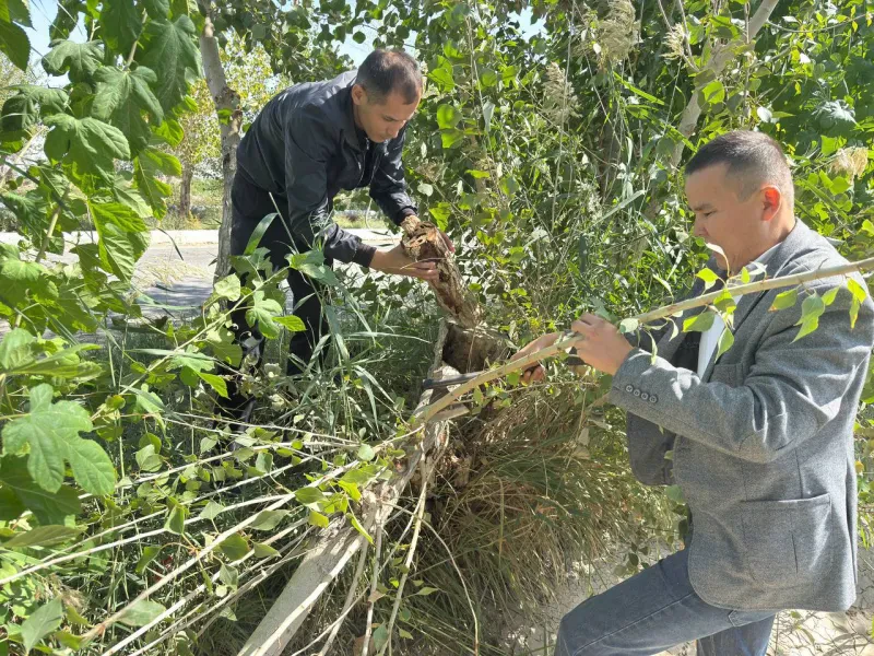 Mintaqaviy filial yangiliklari