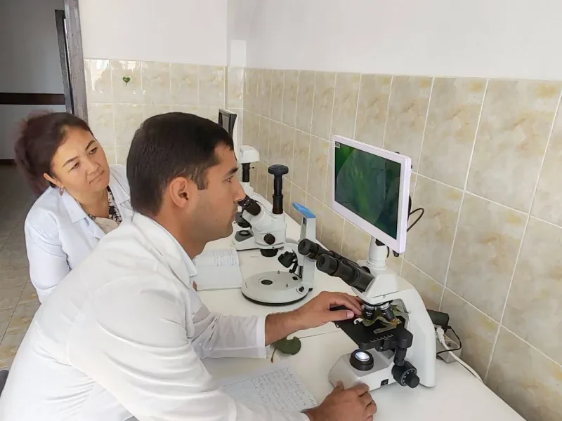 Laboratoriya yangiliklari