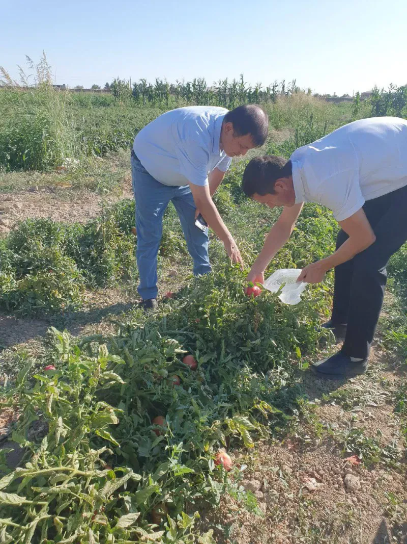 Laboratoriya yangiliklari