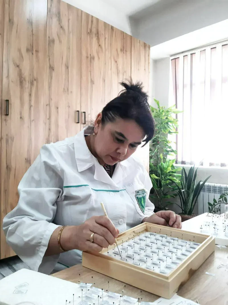 Laboratoriya yangiliklari