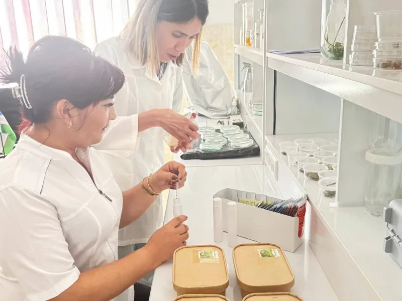 Laboratoriya yangiliklari