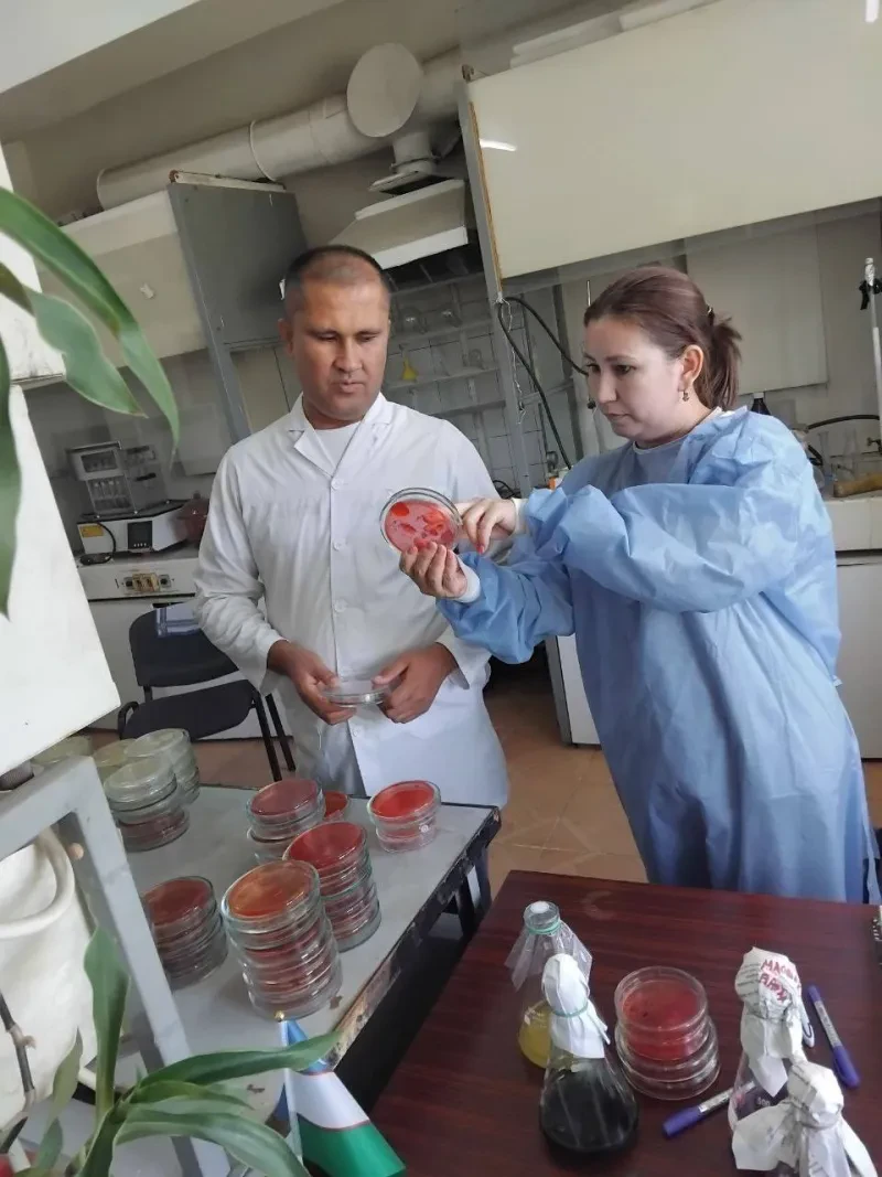 Laboratoriya yangiliklari
