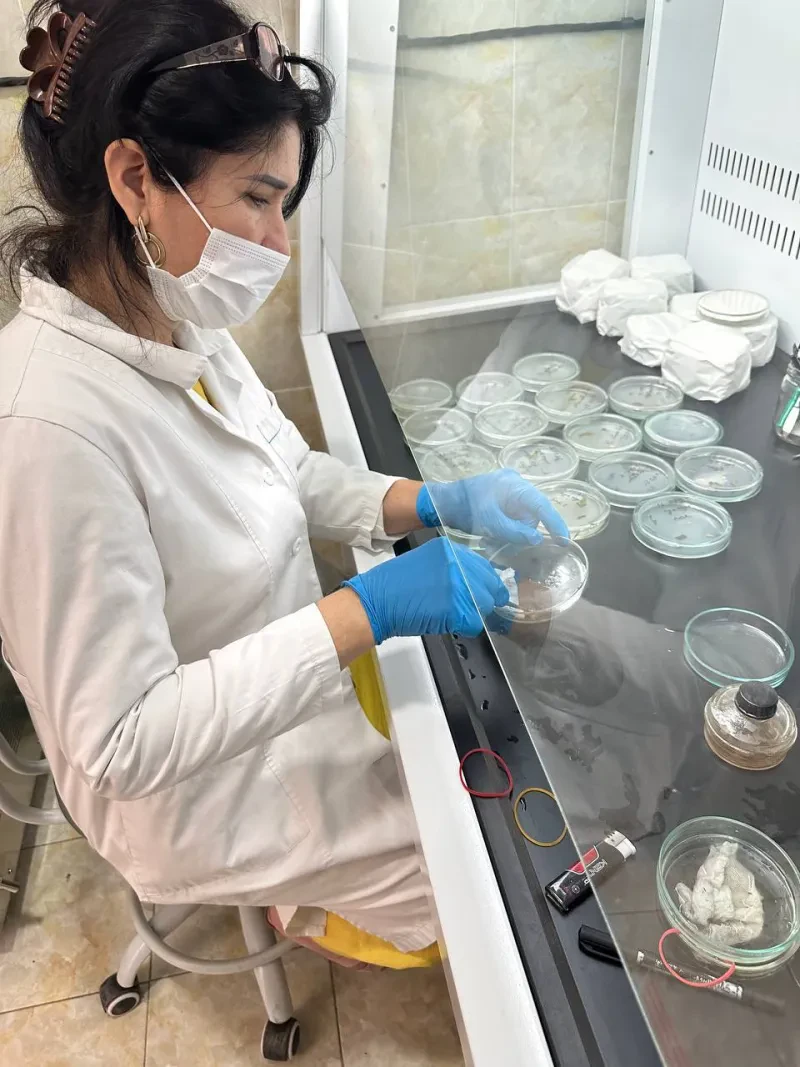 Laboratoriya yangiliklari