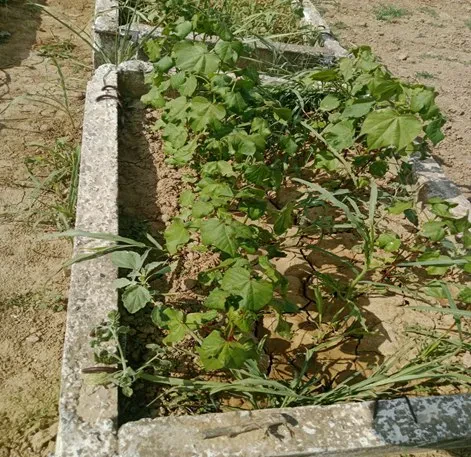 Laboratoriya yangiliklari