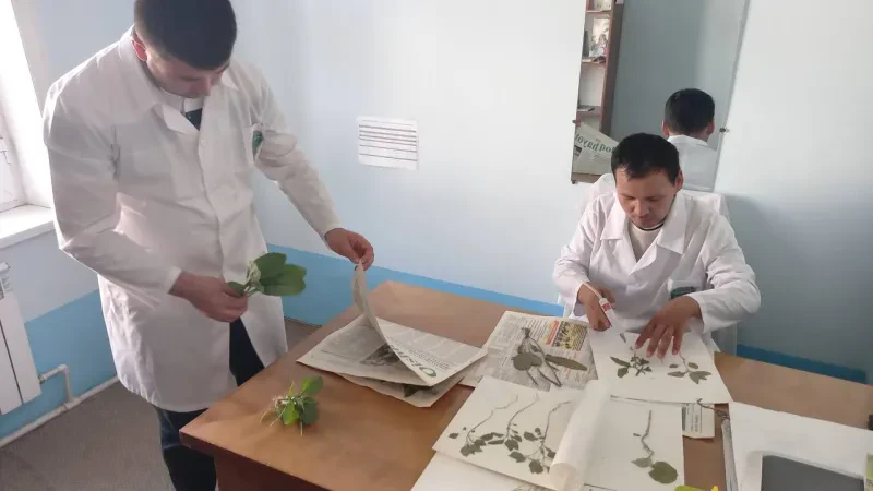Mintaqaviy filiallarda ham tadqiqotlar davom etmoqda….