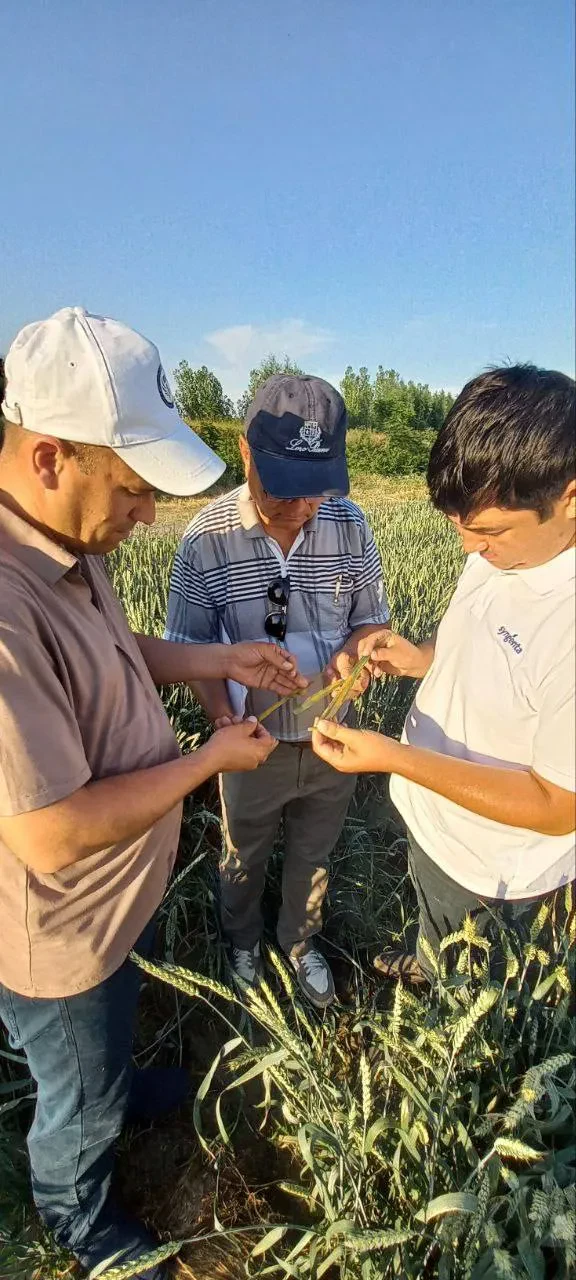 Mintaqaviy filiallarda ham tadqiqotlar davom etmoqda….