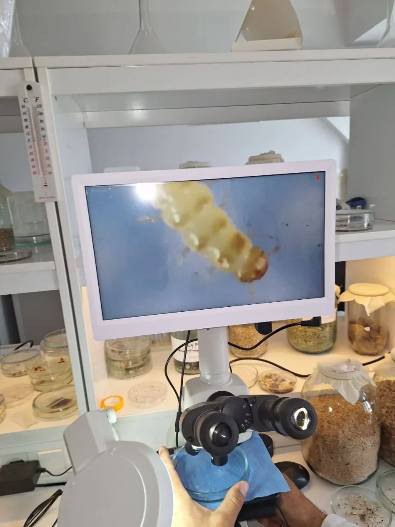 Laboratoriya yangiliklari