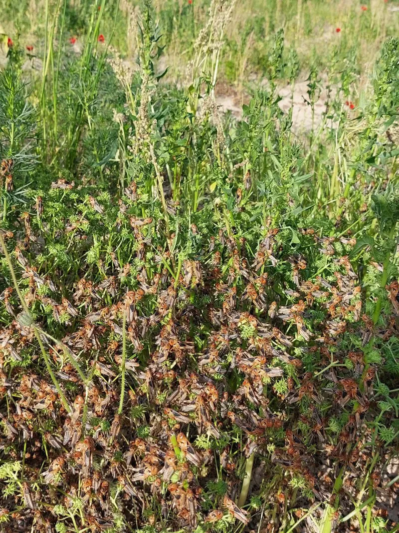 Laboratoriya yangiliklari