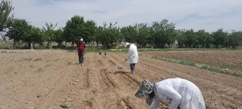 Mintaqaviy filiallarda ham tadqiqotlar davom etmoqda….