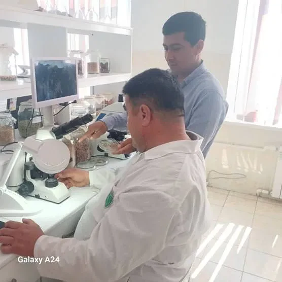 Laboratoriya yangiliklari