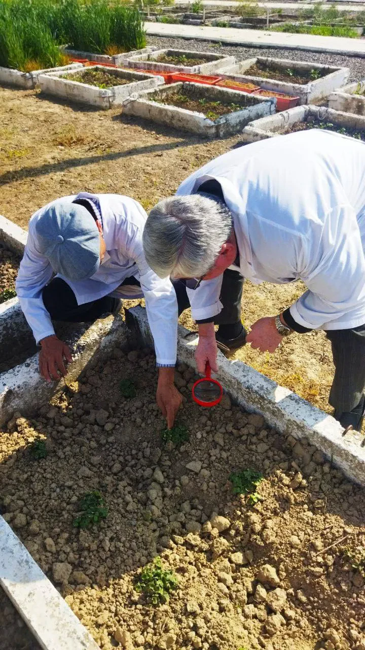 Laboratoriya yangiliklari
