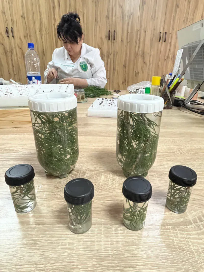 Laboratoriya yangiliklari