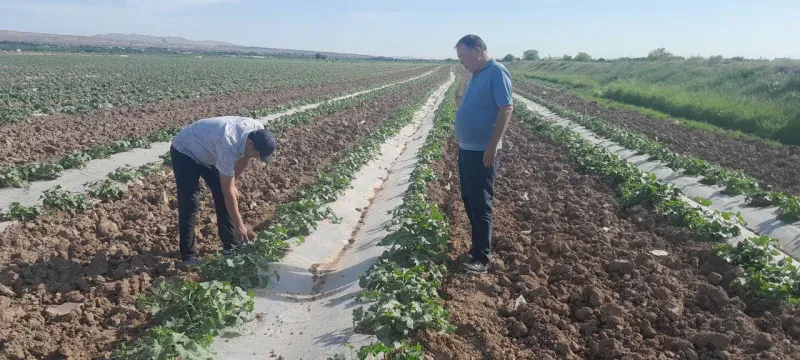 Mintaqaviy filiallarda ham tadqiqotlar davom etmoqda….