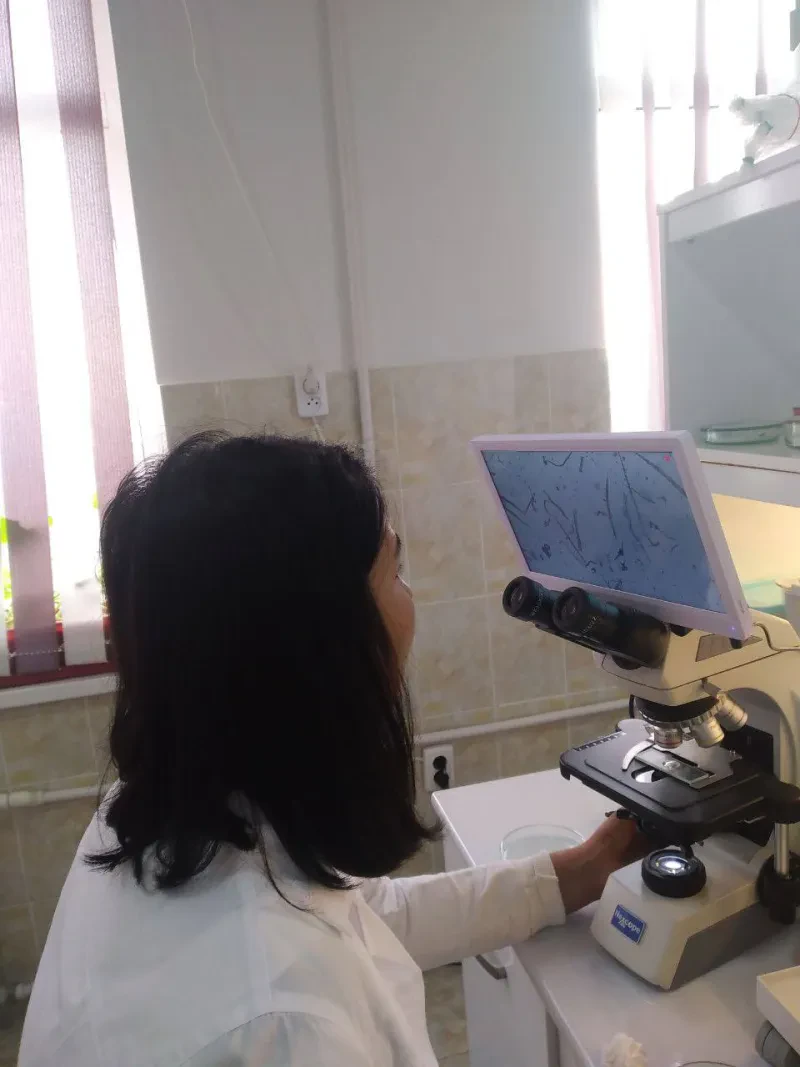 Laboratoriya yangiliklari