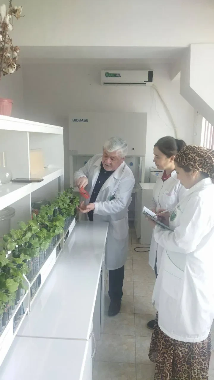 Laboratoriya yangiliklari