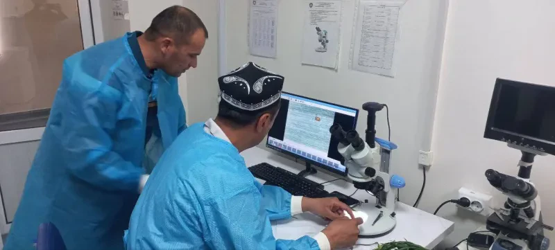Mintaqaviy filiallarda ham tadqiqotlar davom etmoqda….