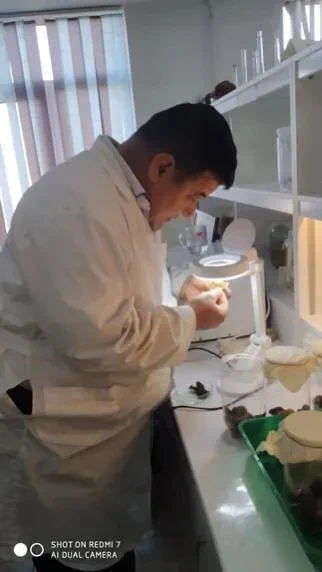 Laboratoriya yangiliklari