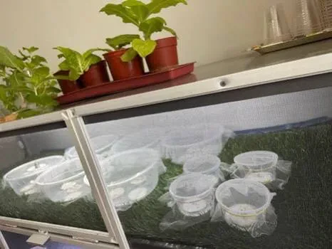 Laboratoriya yangiliklari