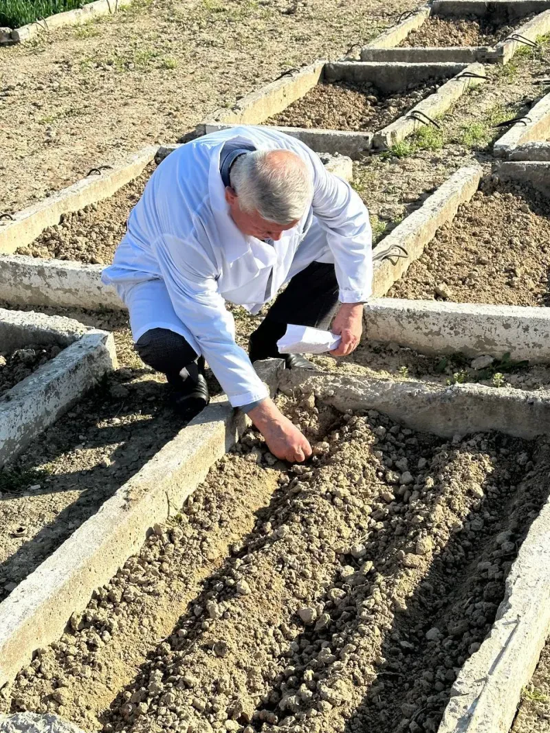 Laboratoriya yangiliklari