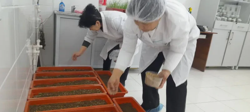 Laboratoriya yangiliklari