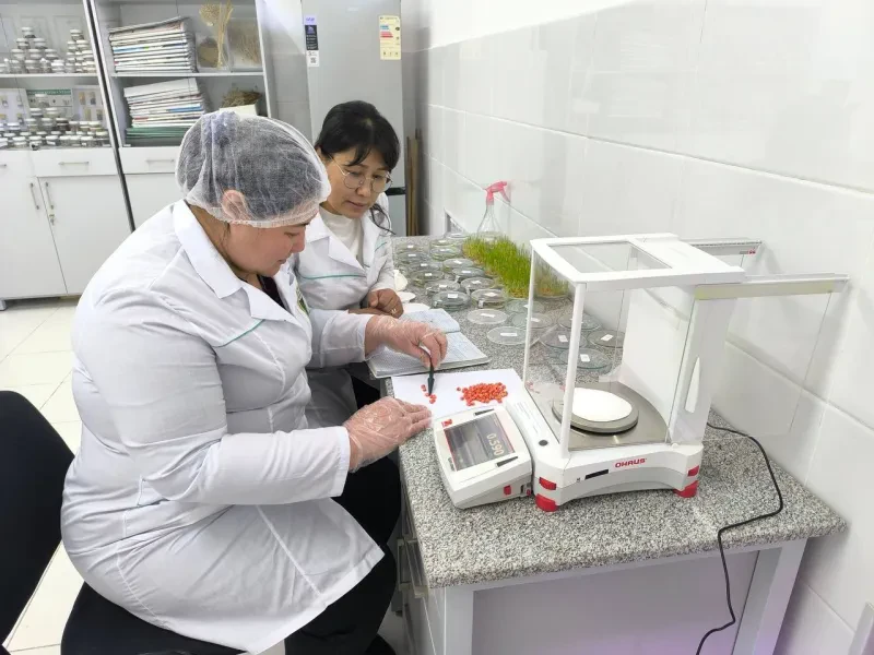 Laboratoriya yangiliklari