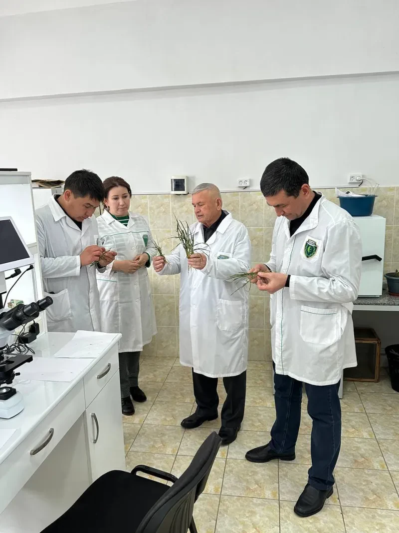 Laboratoriya yangiliklari