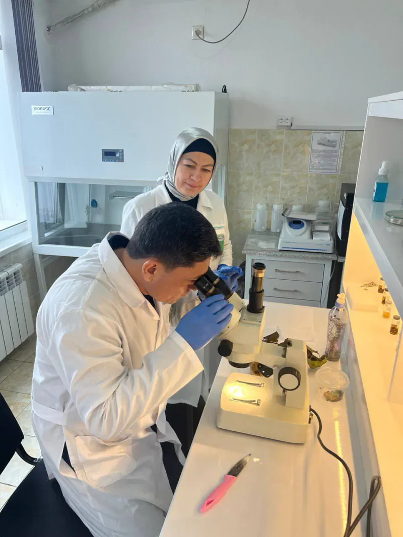 Laboratoriya yangiliklari