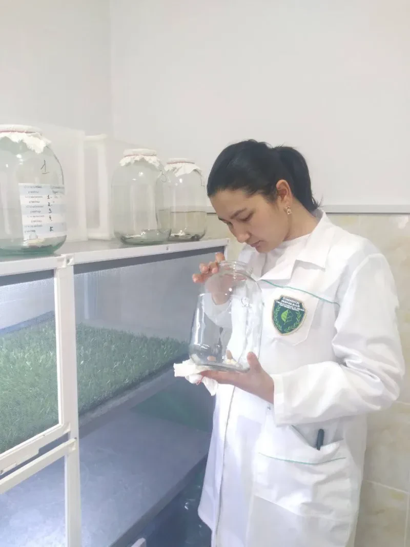 Laboratoriya yangiliklari