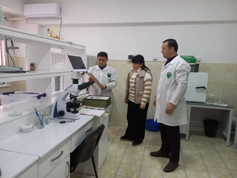 Laboratoriya yangiliklari