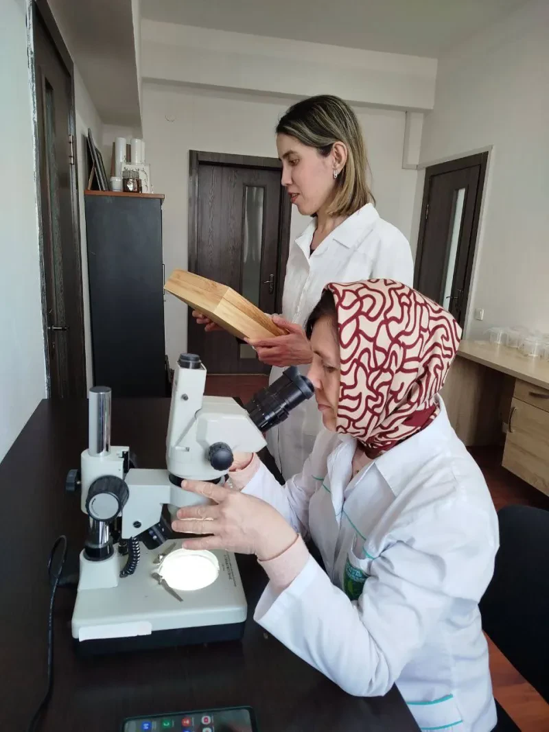 Laboratoriya yangiliklari