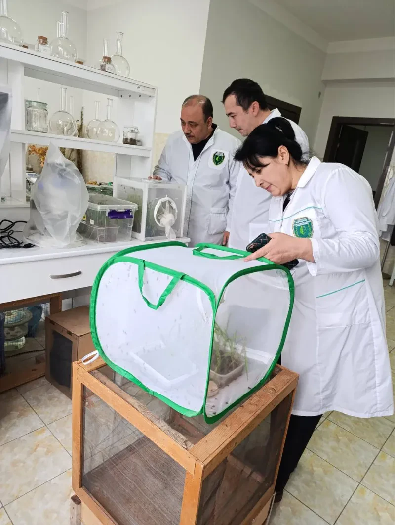Laboratoriya yangiliklari