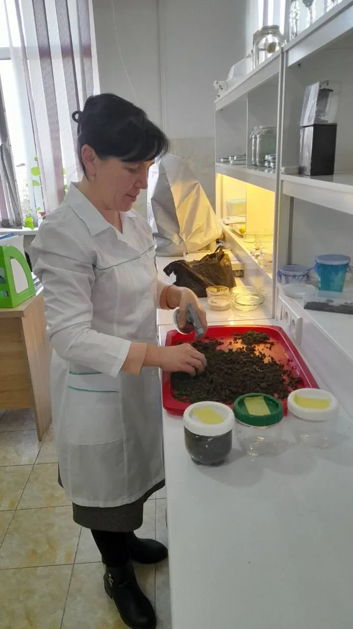 Laboratoriya yangiliklari