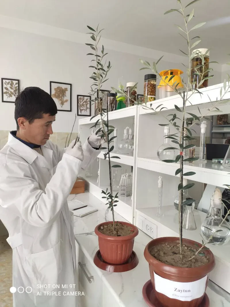 Laboratoriya yangiliklari