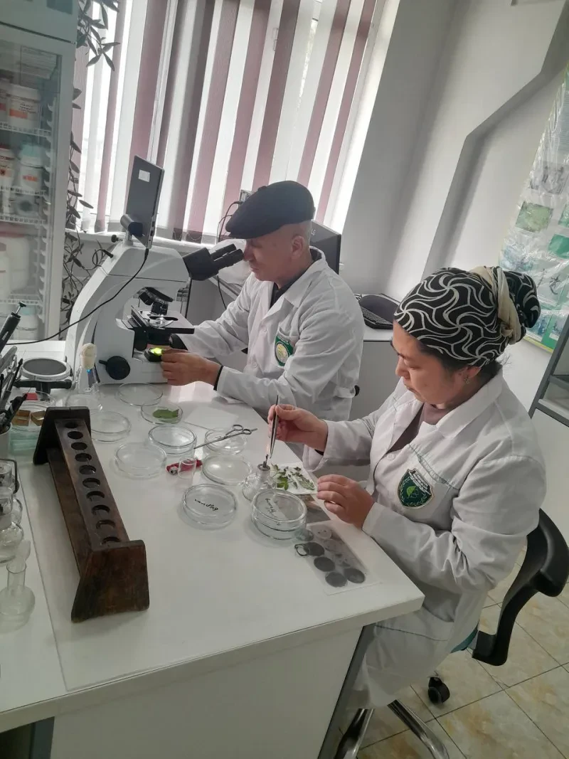 Laboratoriya yangiliklari