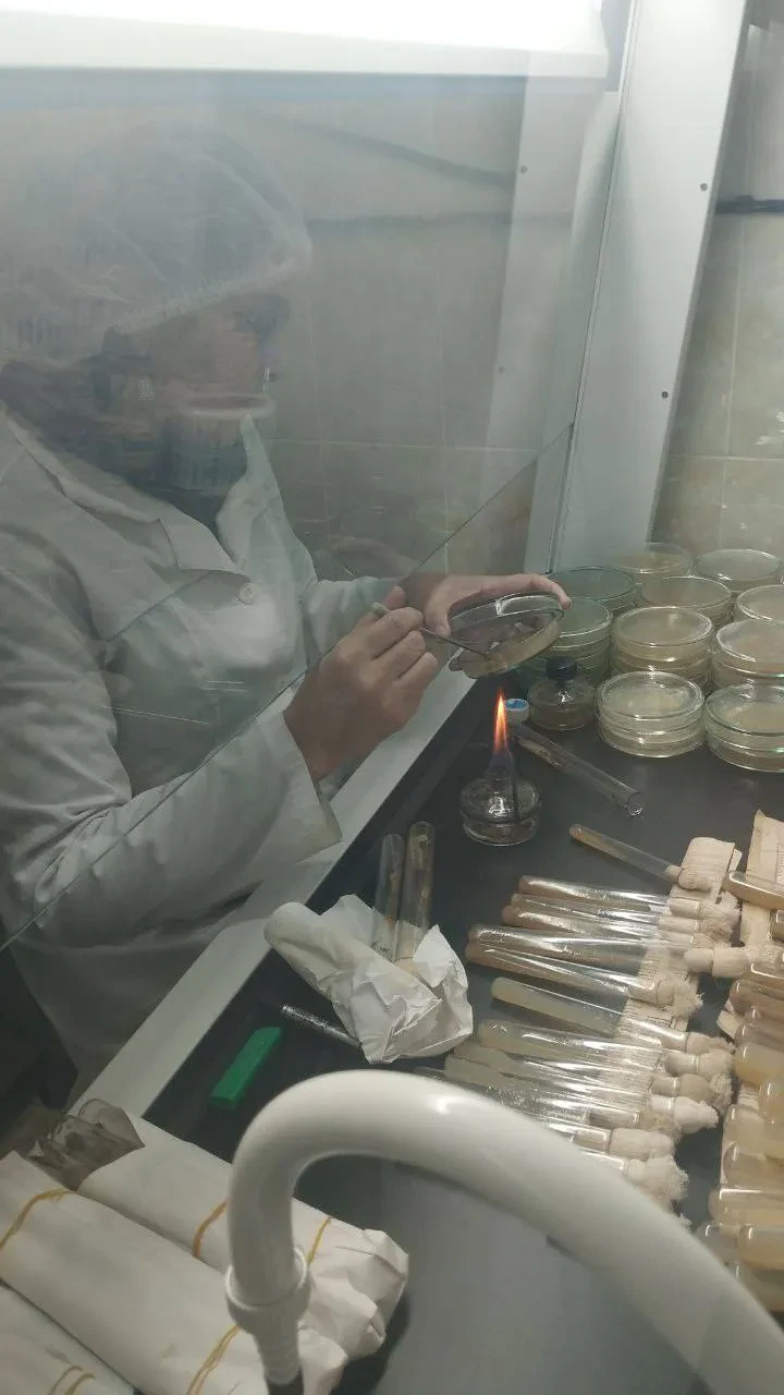 Laboratoriya yangiliklari