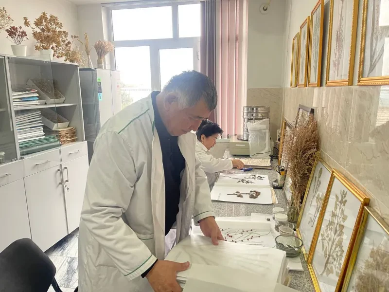 O`simliklar karantini va himoyasi ilmiy tadqiqot institutida tadqiqotlar davom etmoqda.
