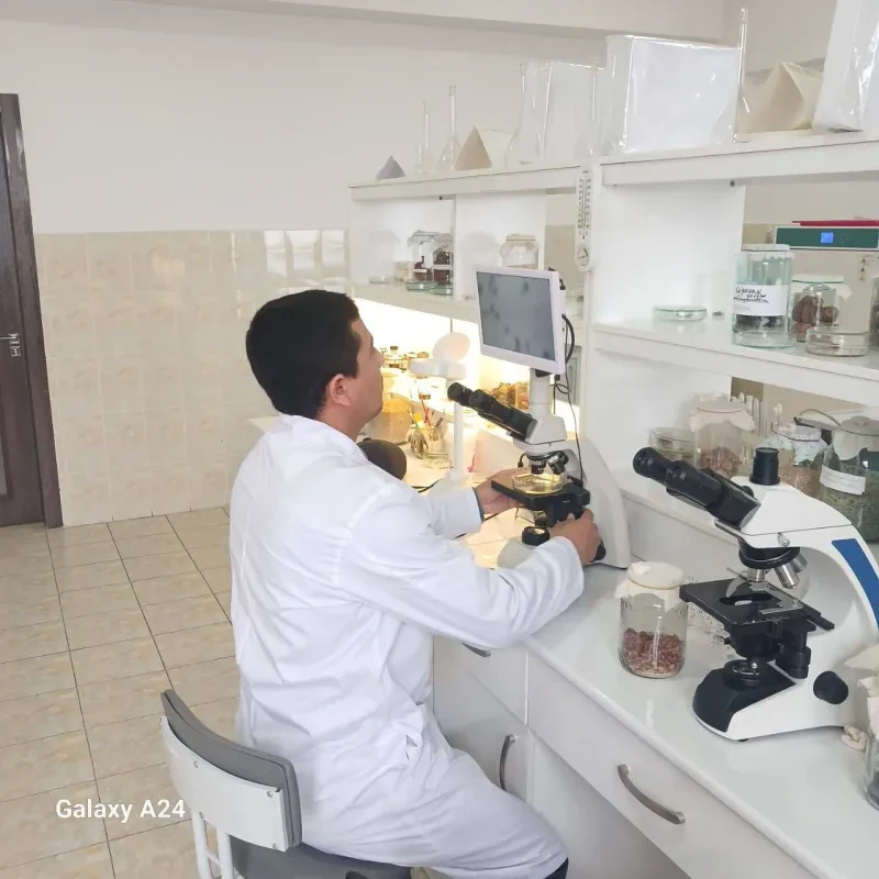 O`simliklar karantini va himoyasi ilmiy tadqiqot institutida tadqiqotlar davom etmoqda.