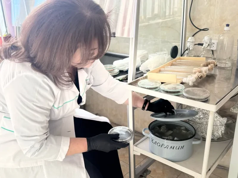 O`simliklar karantini va himoyasi ilmiy tadqiqot instituti laboratoriyasi yangiliklari