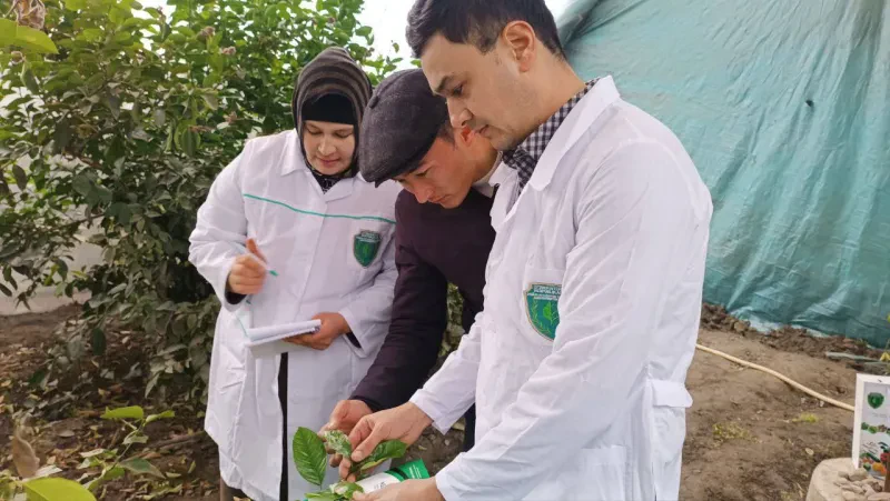 ✅Mintaqaviy filiallardan yangiliklar