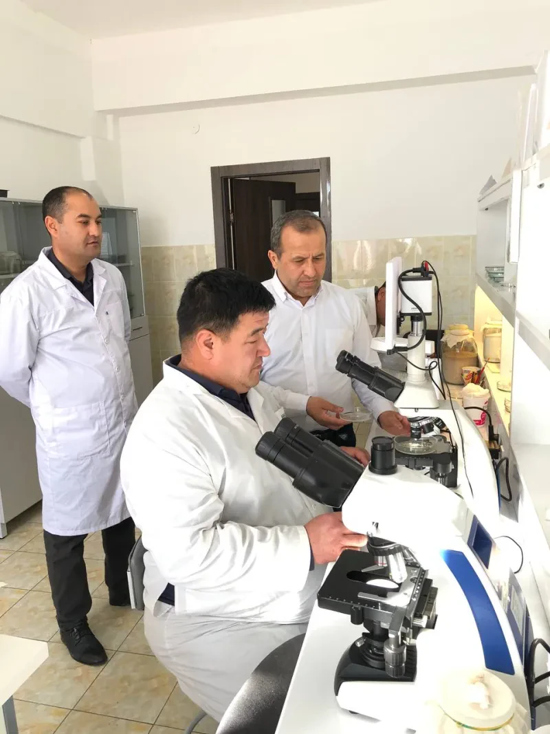 O`simliklar karantini va himoyasi ilmiy tadqiqot institutida tadqiqotlar davom etmoqda.