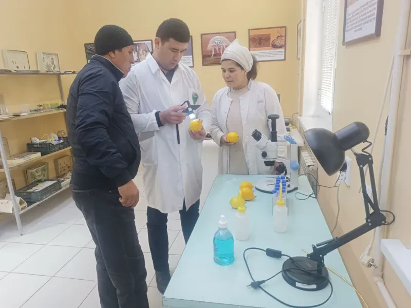 Mintaqaviy filiallarda ham tadqiqotlar davom etmoqda….