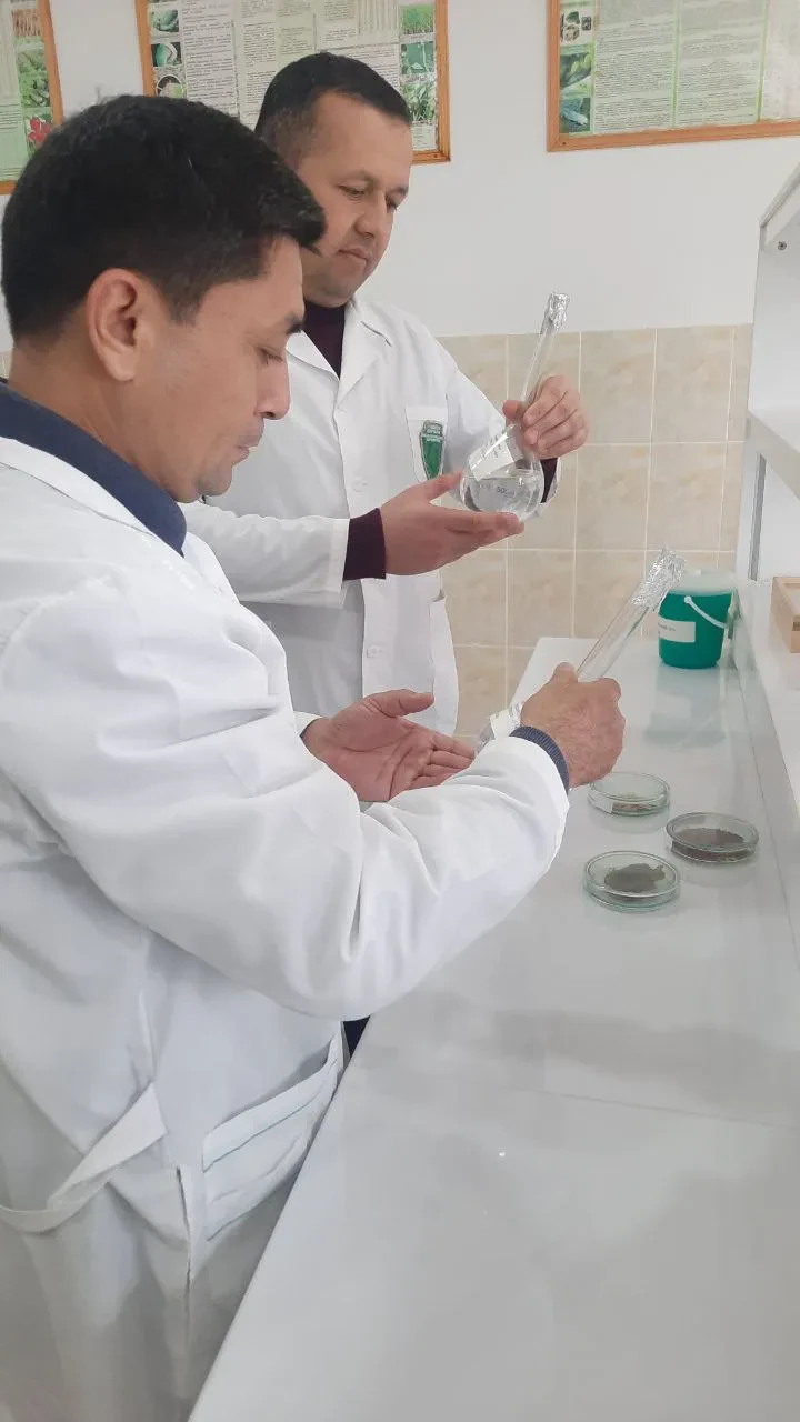 O`simliklar karantini va himoyasi ilmiy tadqiqot institutida tadqiqotlar davom etmoqda.