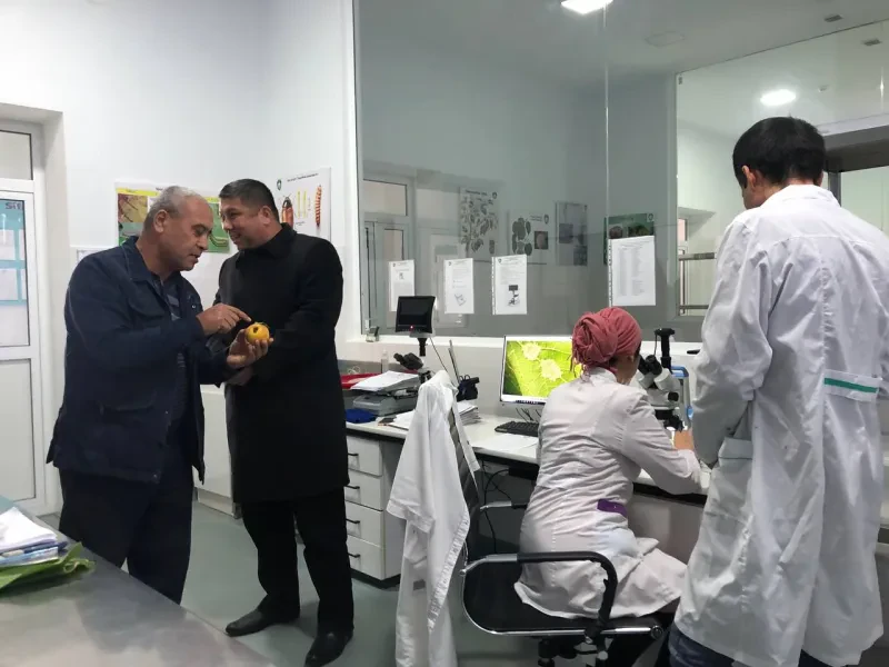 Mintaqaviy filiallarda ham tadqiqotlar davom etmoqda….