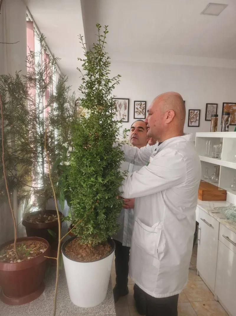O`simliklar karantini va himoyasi ilmiy tadqiqot institutida tadqiqotlar davom etmoqda.