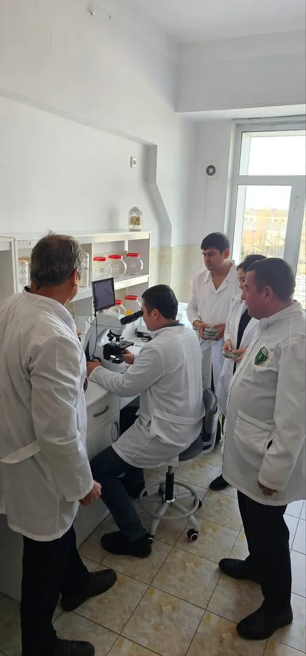 O`simliklar karantini va himoyasi ilmiy tadqiqot institutida tadqiqotlar davom etmoqda.