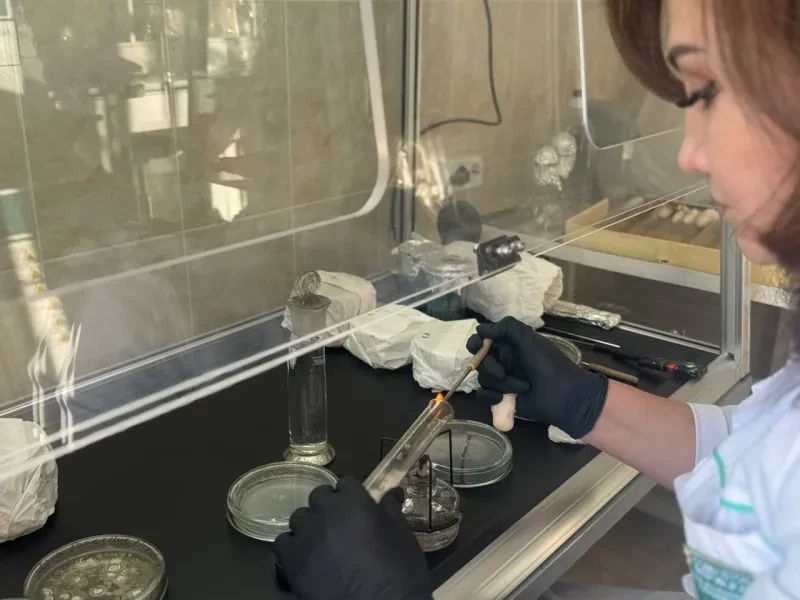 O`simliklar karantini va himoyasi ilmiy tadqiqot institutida tadqiqotlar davom etmoqda.