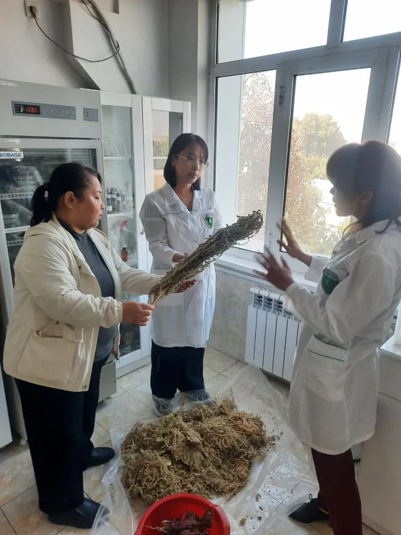 Laboratoriya yangiliklari