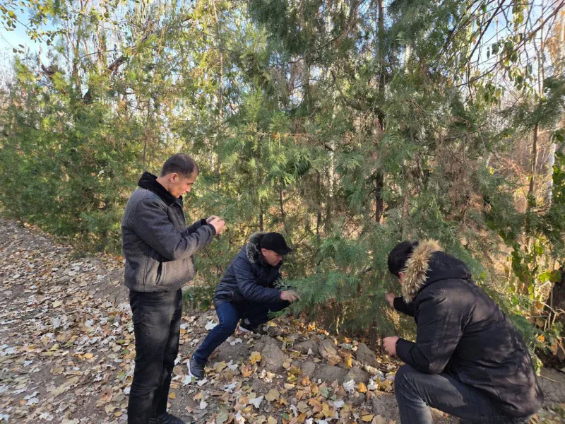 Mintaqaviy filial yangiliklari